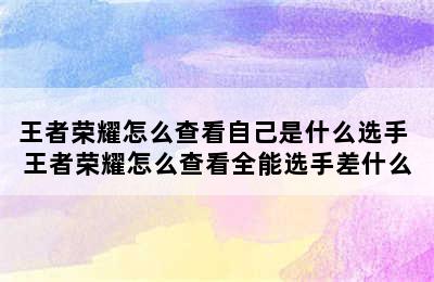 王者荣耀怎么查看自己是什么选手 王者荣耀怎么查看全能选手差什么